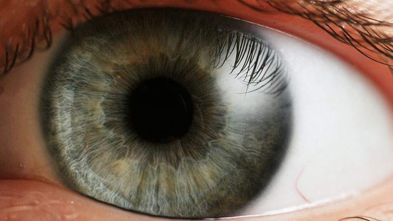The size of pupils can be used to check impairment due to drugs - legit or otherwise: <a href="http://en.wikipedia.org/wiki/Pupil#mediaviewer/File:Eye_iris.jpg" target="_blank">image credit</a>