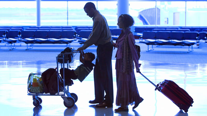 Baggage trolley bugs can affect the family