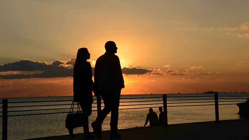 silhouette holiday couple (flying with shingles)